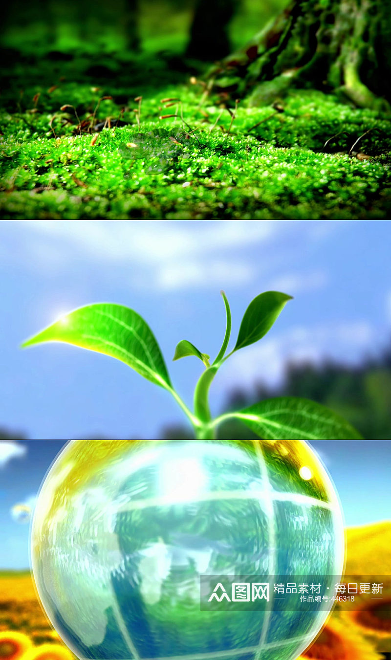 绿草植物植物生命力素材