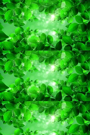 梦幻绿色生态森林实拍模板下载-编号450981-众图网