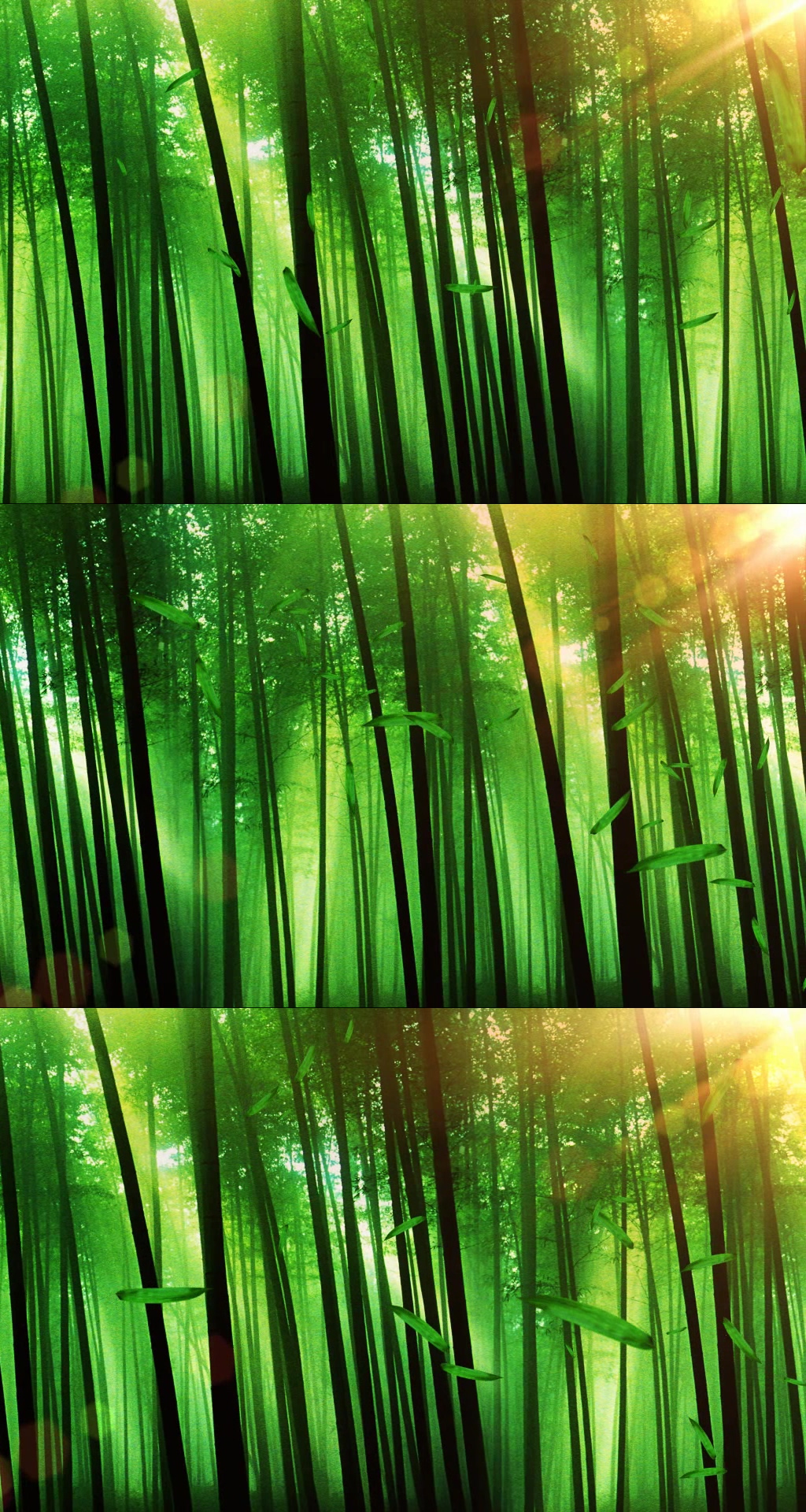 梦幻绿色生态森林实拍素材