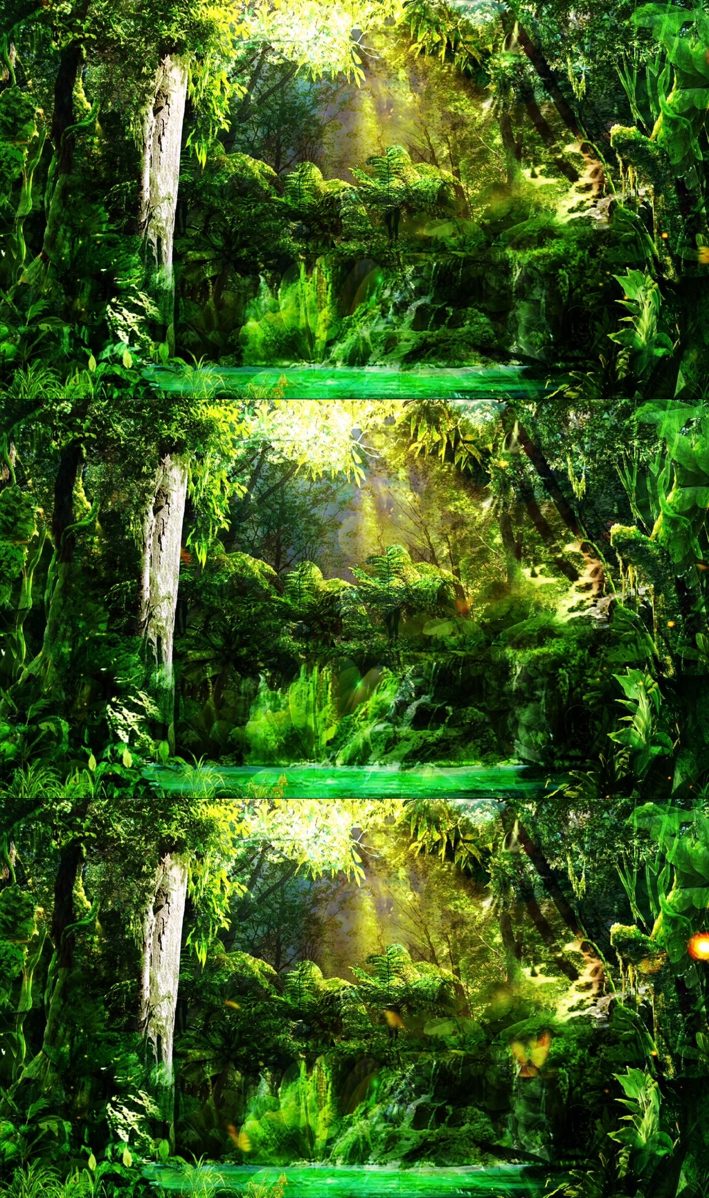 梦幻绿色生态森林实拍素材