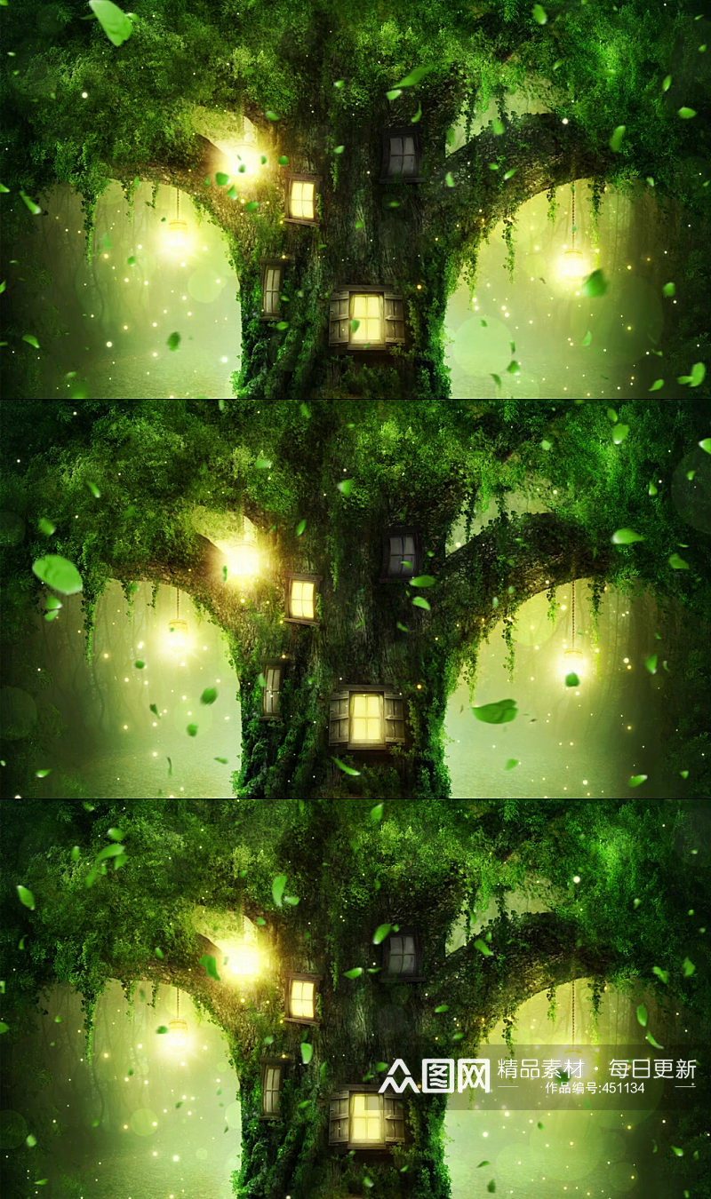 梦幻绿色生态森林实拍素材