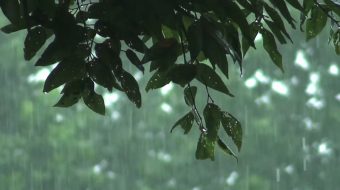 唯美自然风光实拍素材-众图网