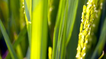 大自然风光风景实拍-众图网