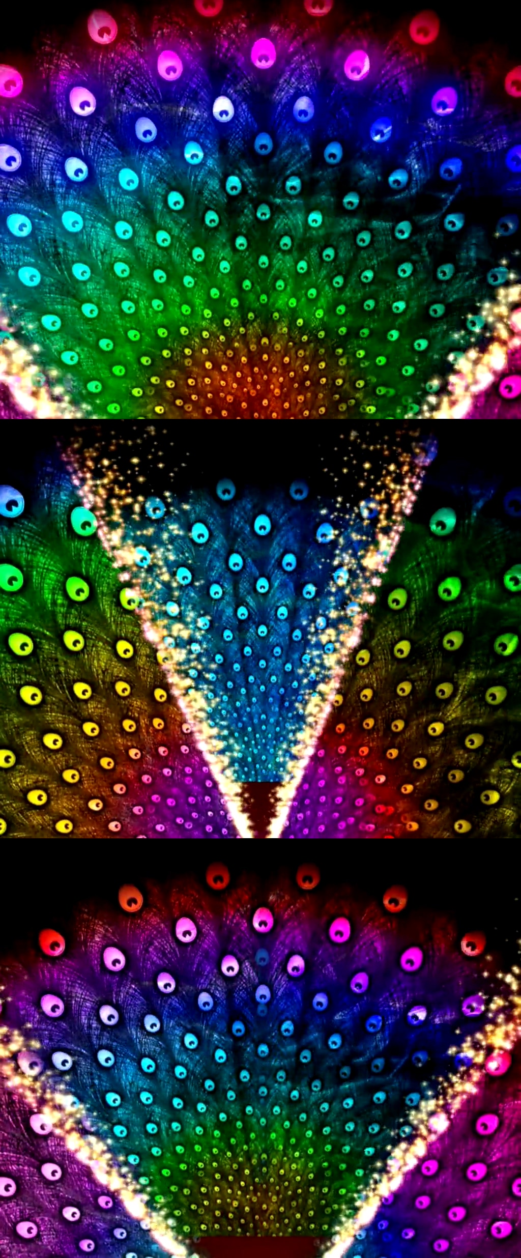 孔雀舞大气炫丽背景