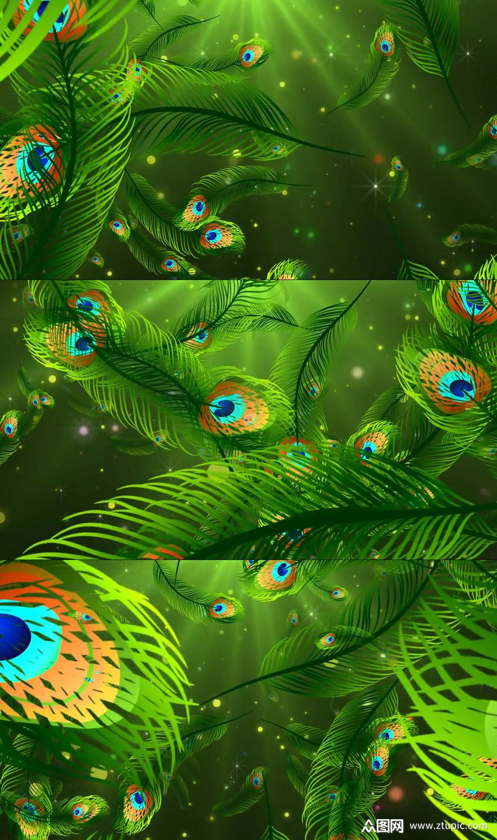 孔雀舞大气炫丽背景