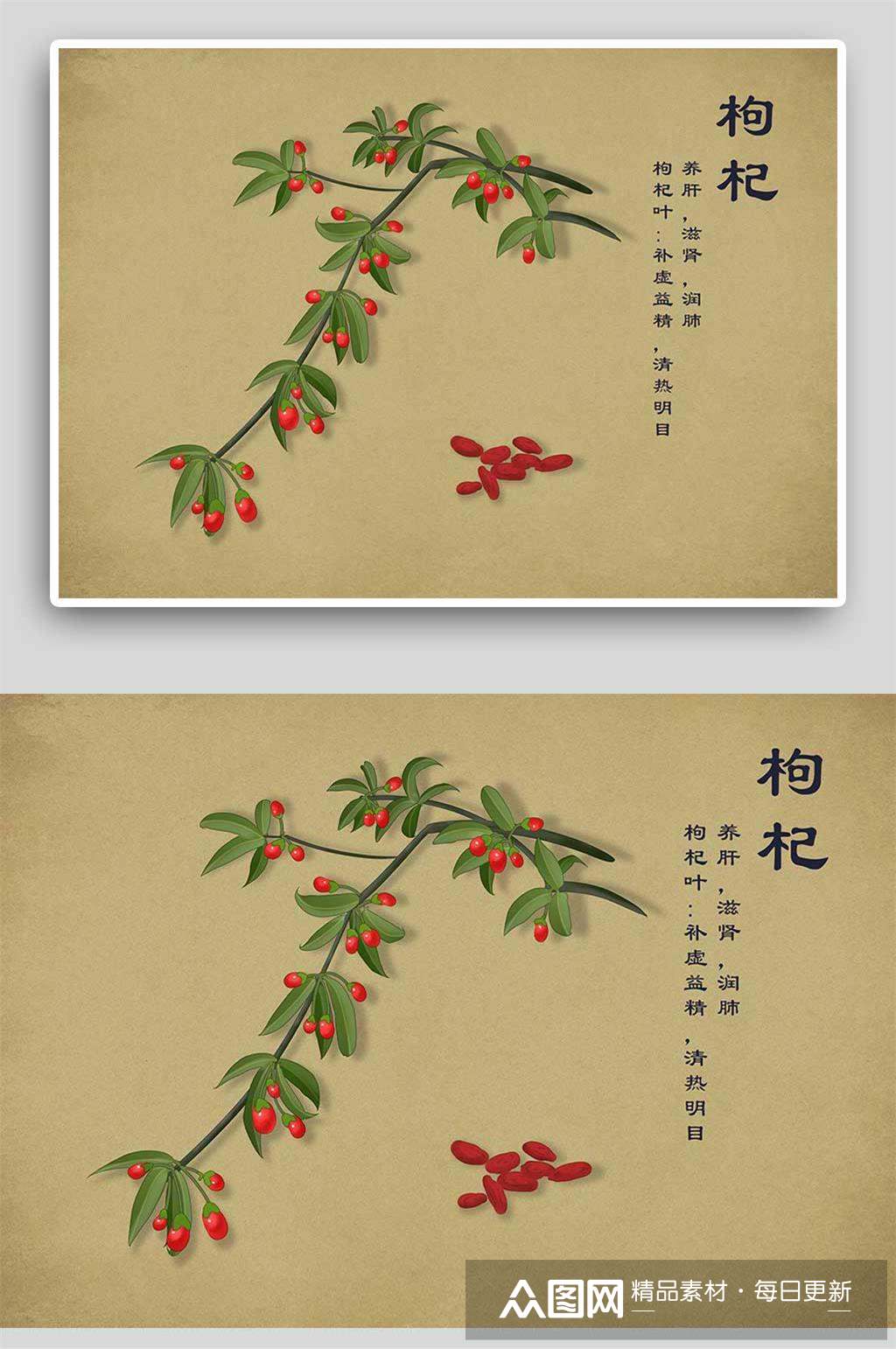 复古枸杞中草药手绘 中药材展板