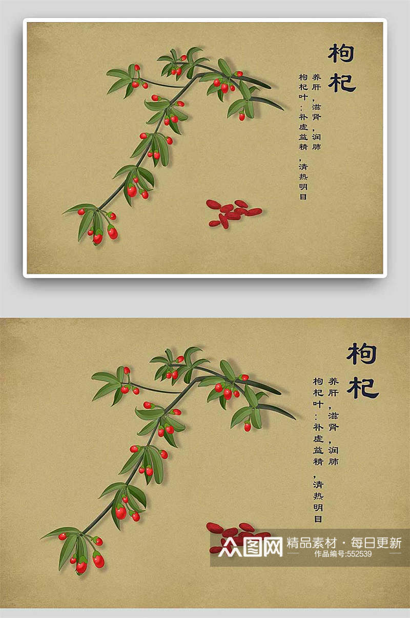 复古枸杞中草药手绘 中药材展板素材