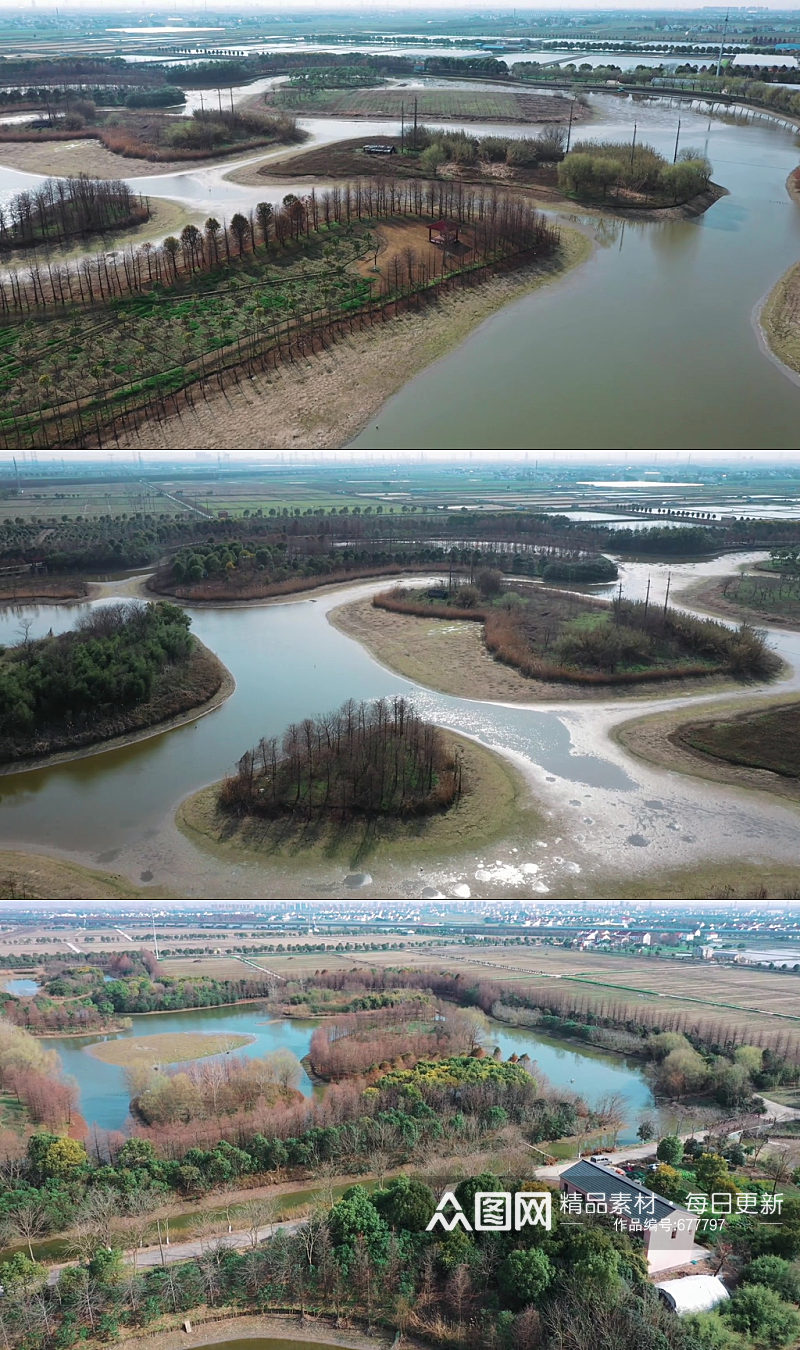 上海松江茂港湿地公园视频素材