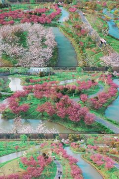 上海花开海上生态园视频