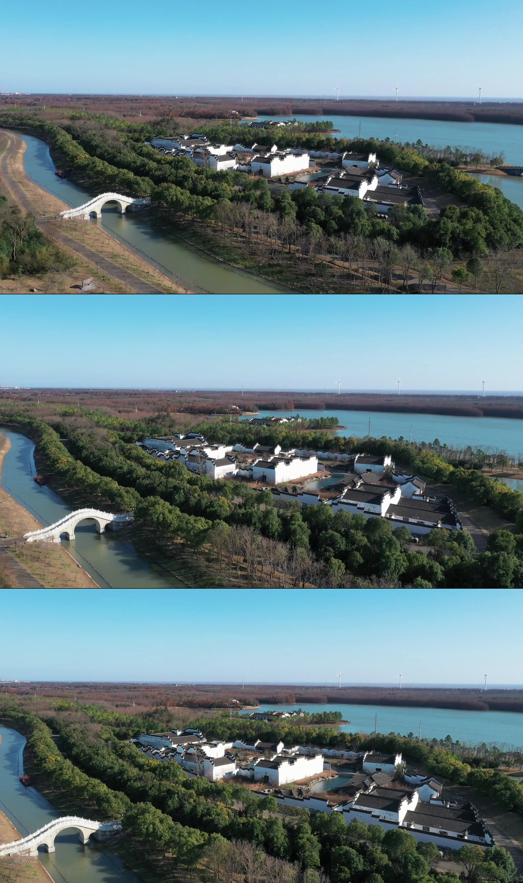 上海海湾国家森林公园梅园视频素材