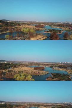 上海浦江郊野公园航拍视频