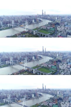 上海南浦大桥航拍日景视频