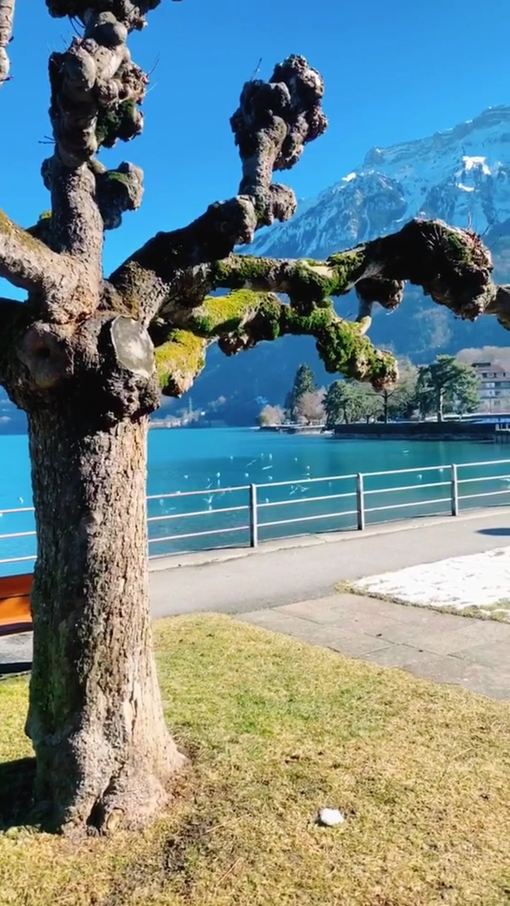 旅游景点大自然风光风景自媒体实拍