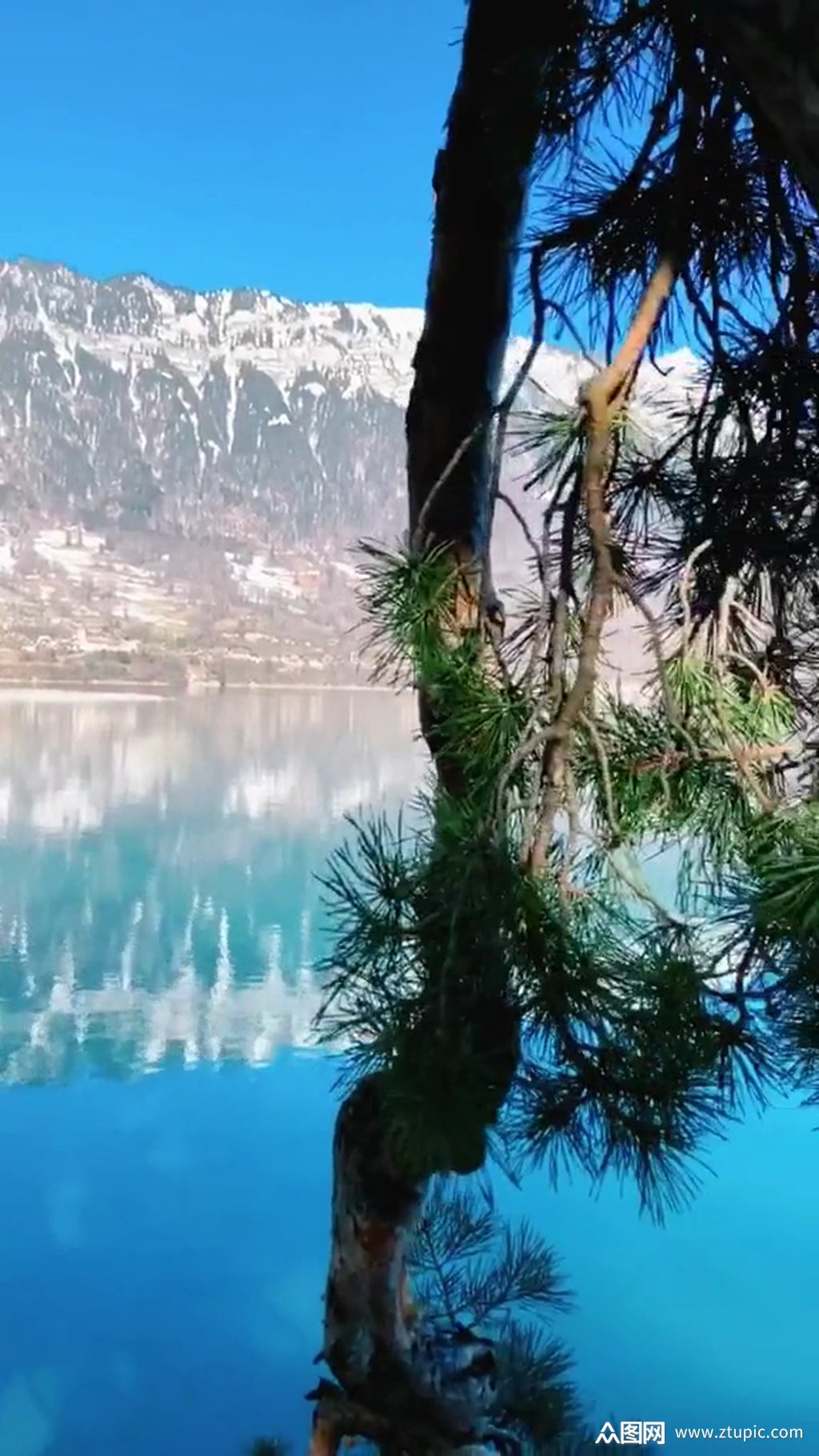 绿色大自然风光风景自媒体实拍素材