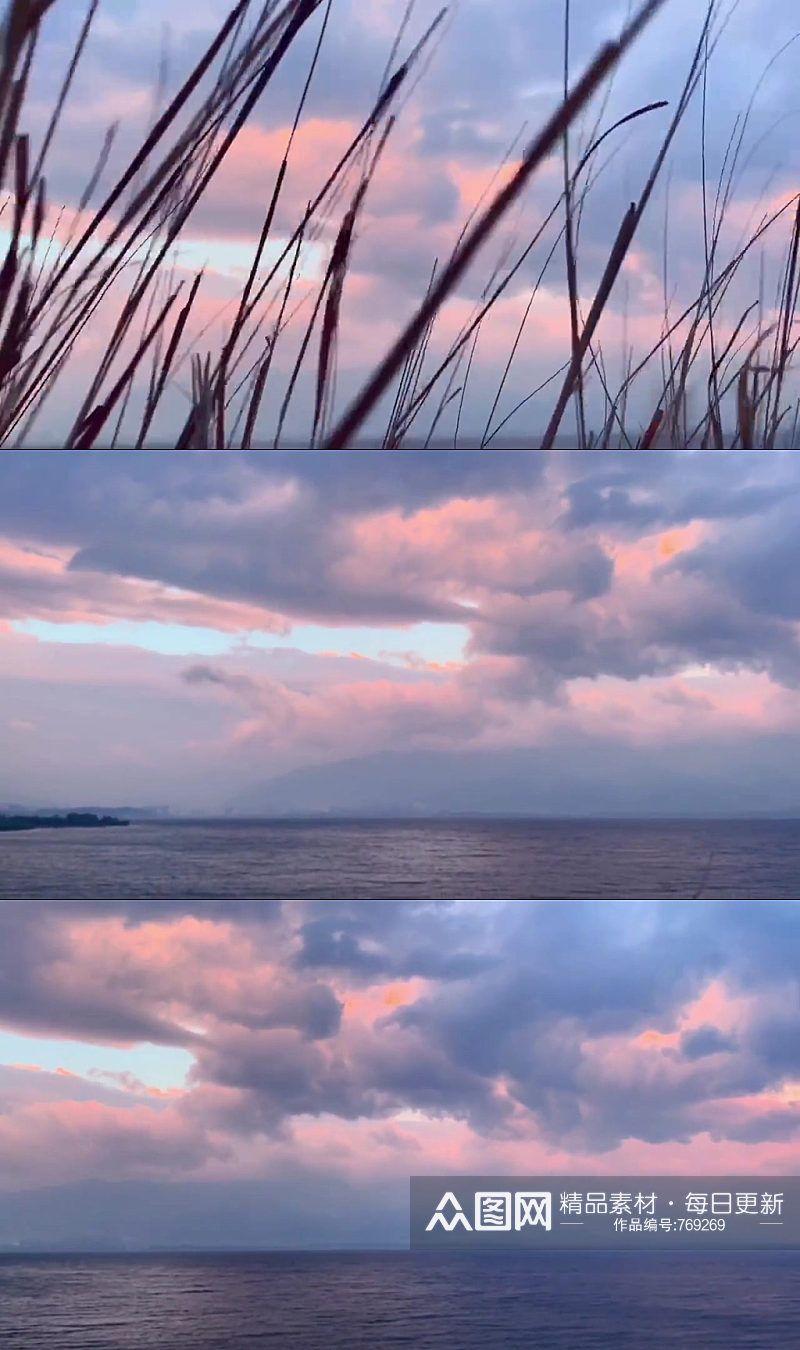 紫色黄昏大自然风光风景自媒体实拍素材