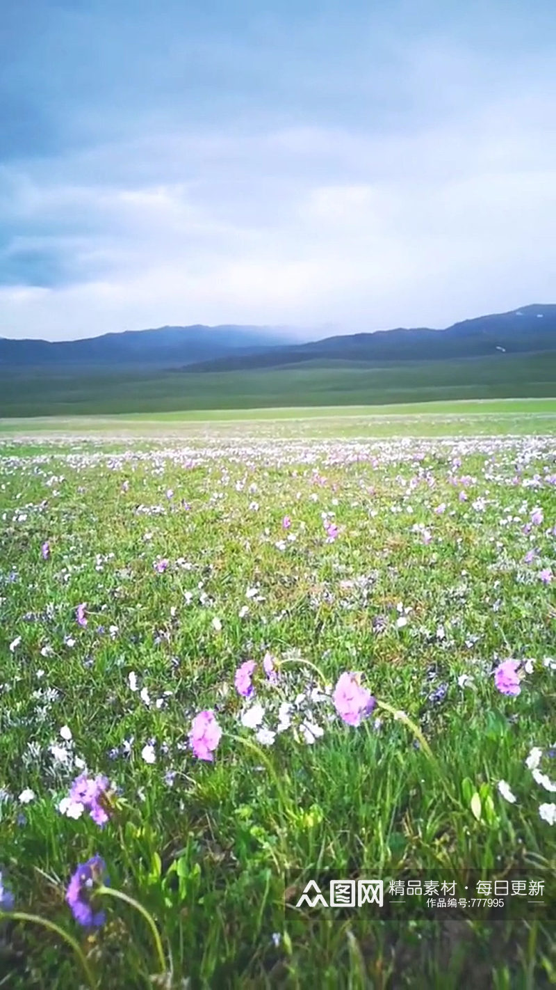 草原唯美大自然风光风景自媒体实拍素材
