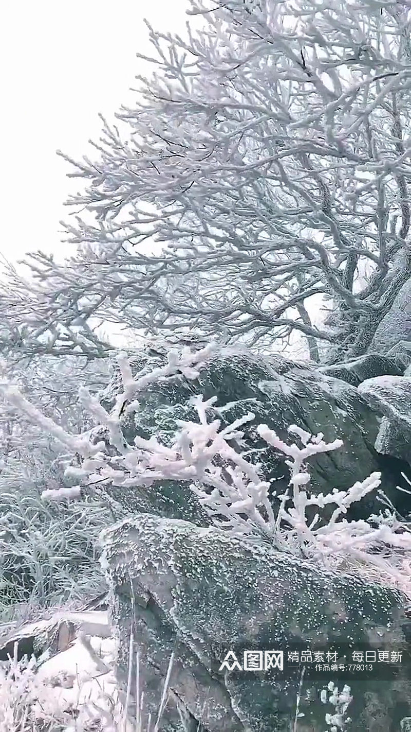 冬季唯美大自然风光风景自媒体实拍素材