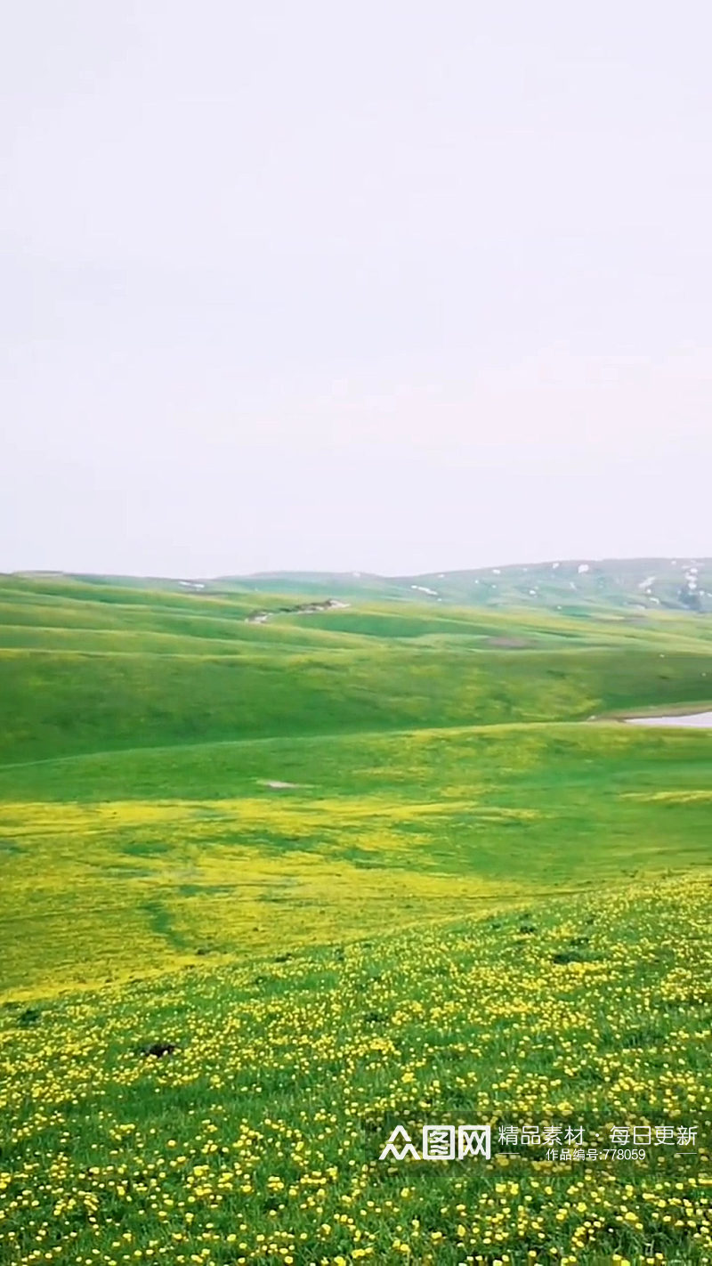 草原大地唯美大自然风光风景自媒体实拍素材