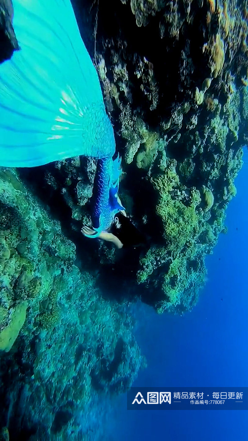 深海潜水唯美大自然风光风景自媒体实拍素材