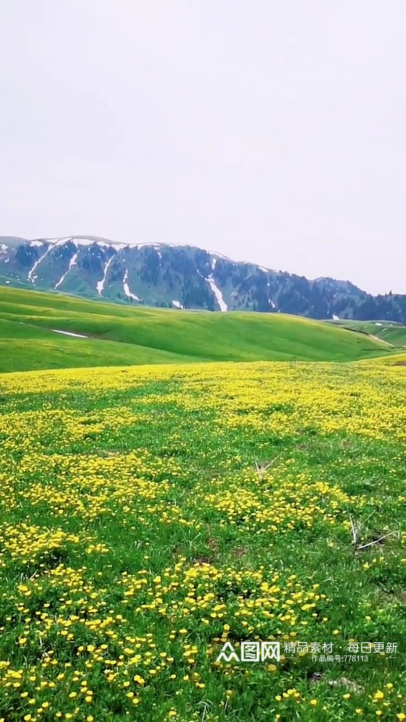 草原草地唯美大自然风光风景自媒体实拍素材