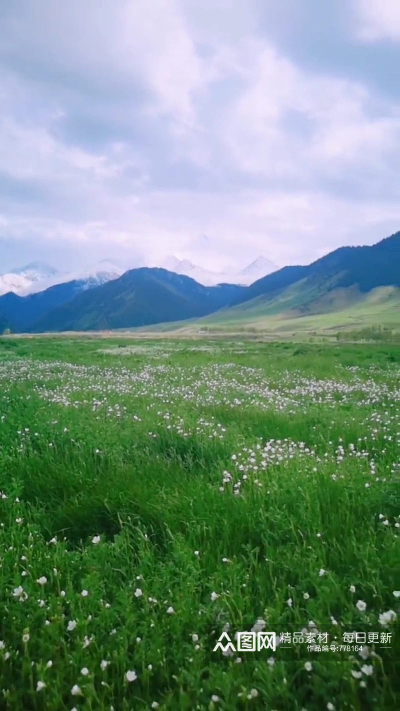 蓝天白云草地唯美大自然风光风景自媒体素材