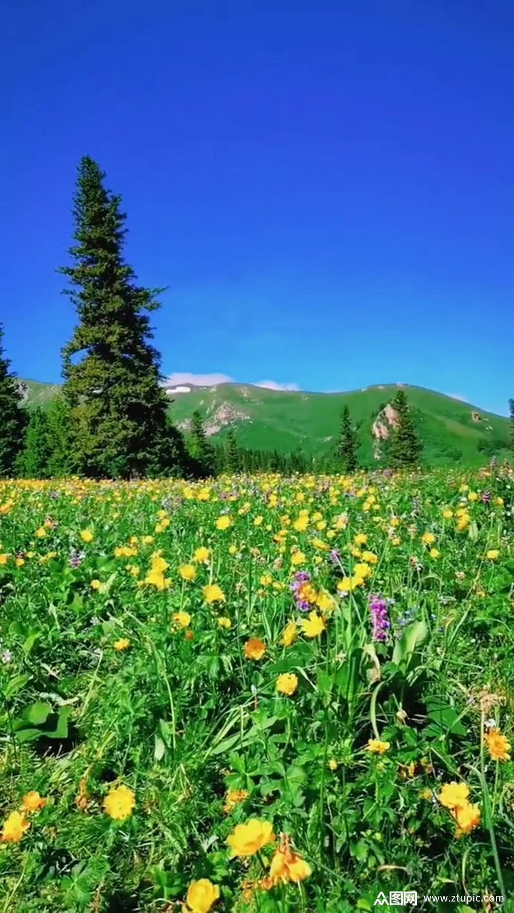 蓝天白云唯美大自然风光风景自媒体实拍