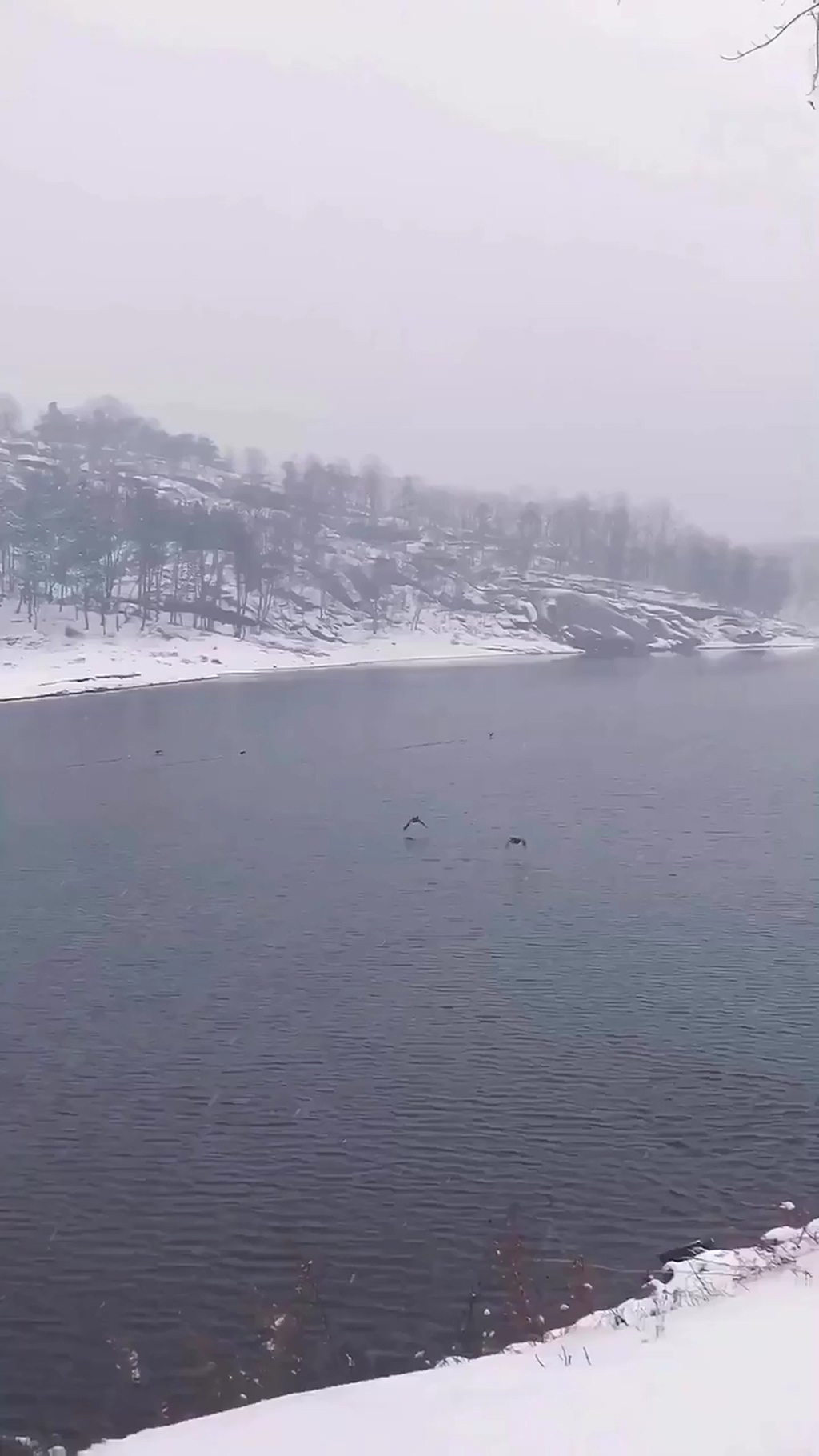 雪景湖泊唯美大自然风光风景自媒体实拍素材