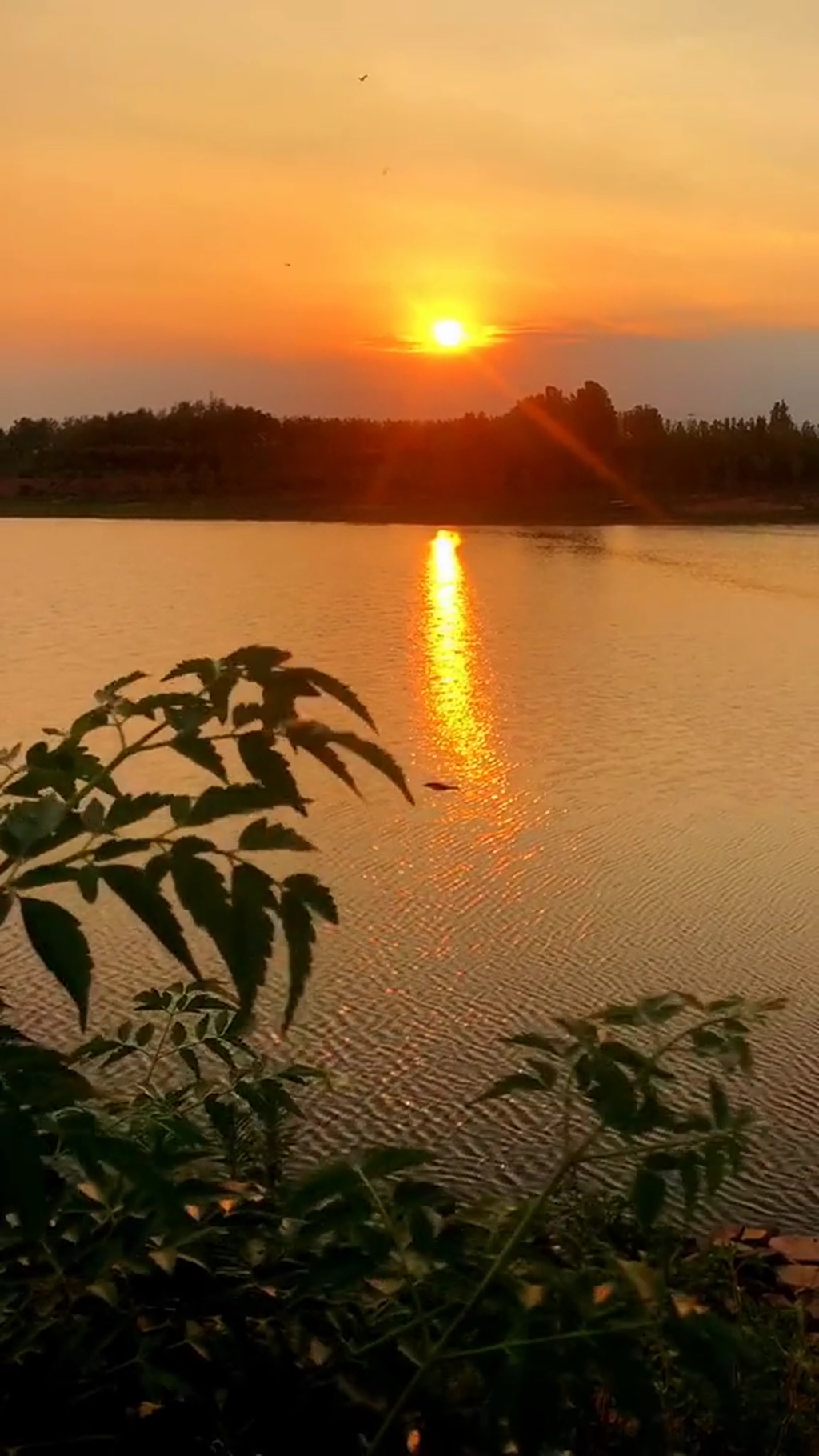 夕阳湖泊日落唯美大自然风光风景-实拍视频素材下载-众图网