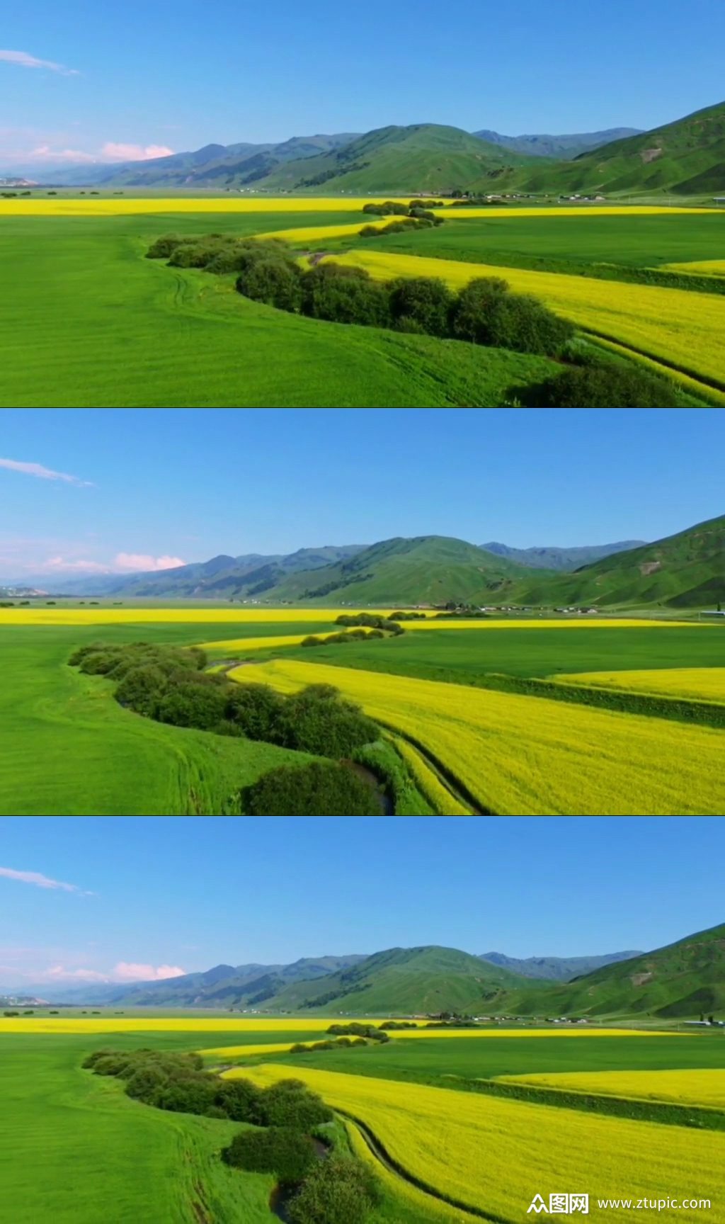 独家提供深海绿色生态唯美大自然风光风景视频自媒体实拍素材免费下载