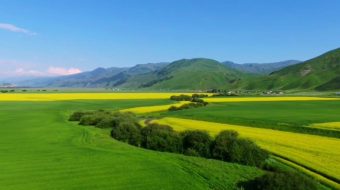 深海绿色生态唯美大自然风光风景视频自媒体实拍-众图网