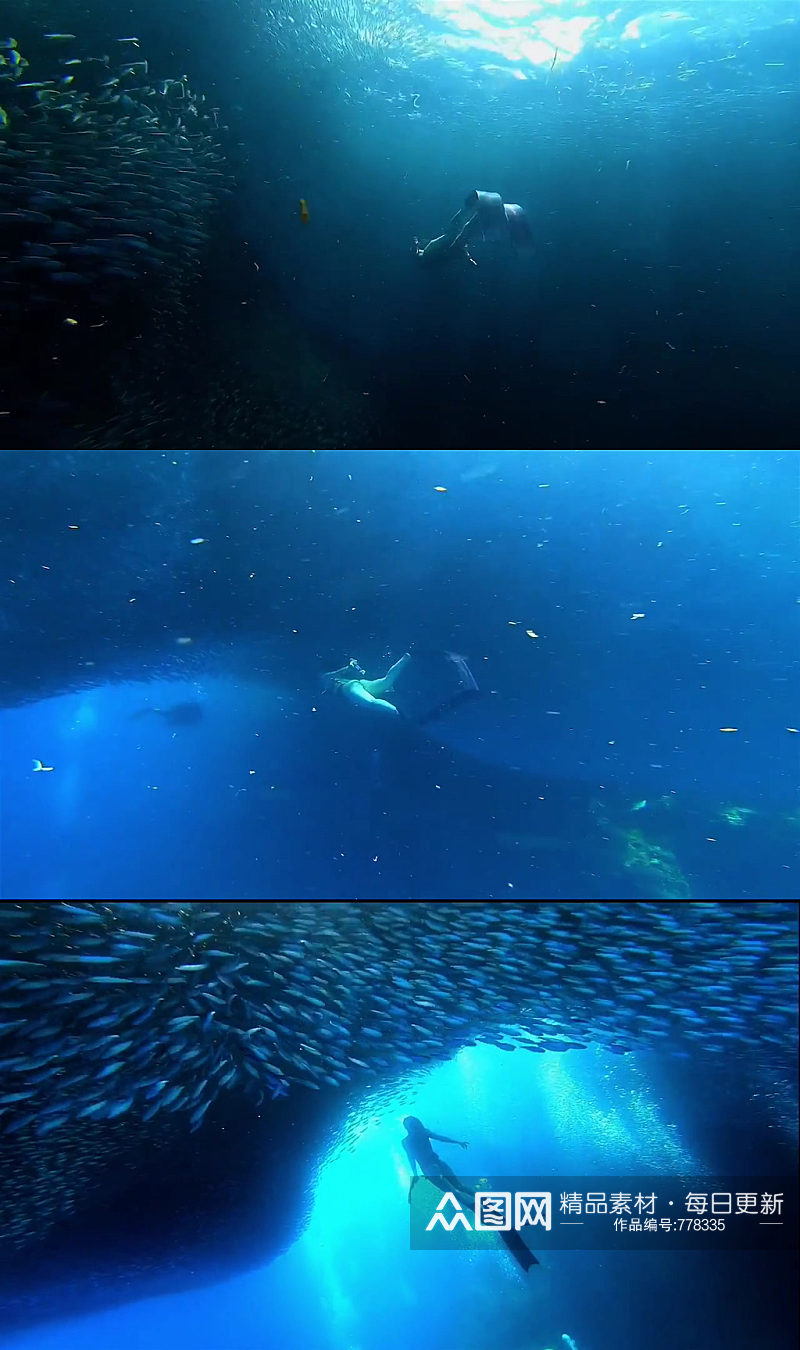 蓝色深海鱼群唯美大自然风光风景自媒体素材