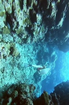 深海潜水唯美大自然风光风景自媒体实拍