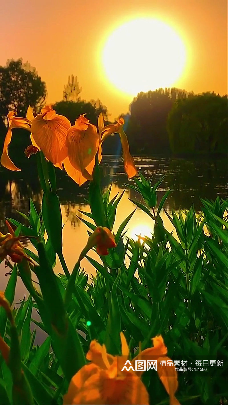 湖泊黄昏自然风光风景自媒体实拍素材素材