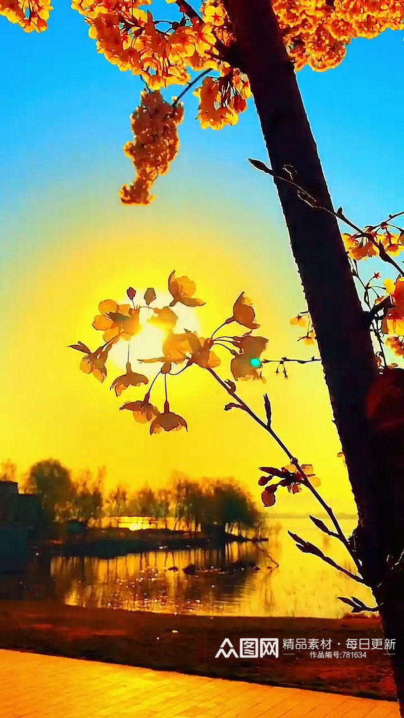 秋天秋季自然风光风景自媒体实拍素材素材