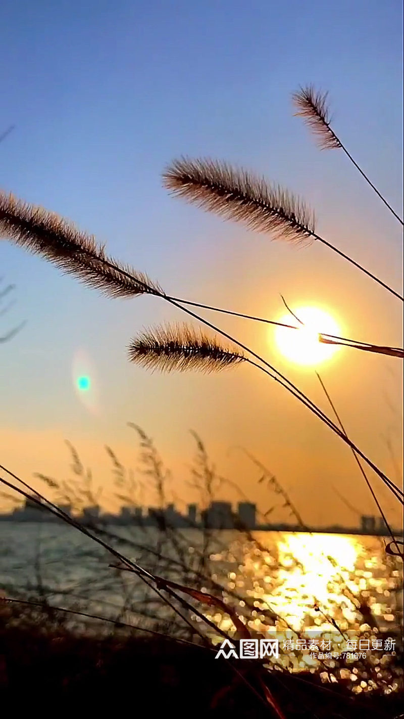 黄色湖泊日落自然风光风景自媒体实拍素材素材