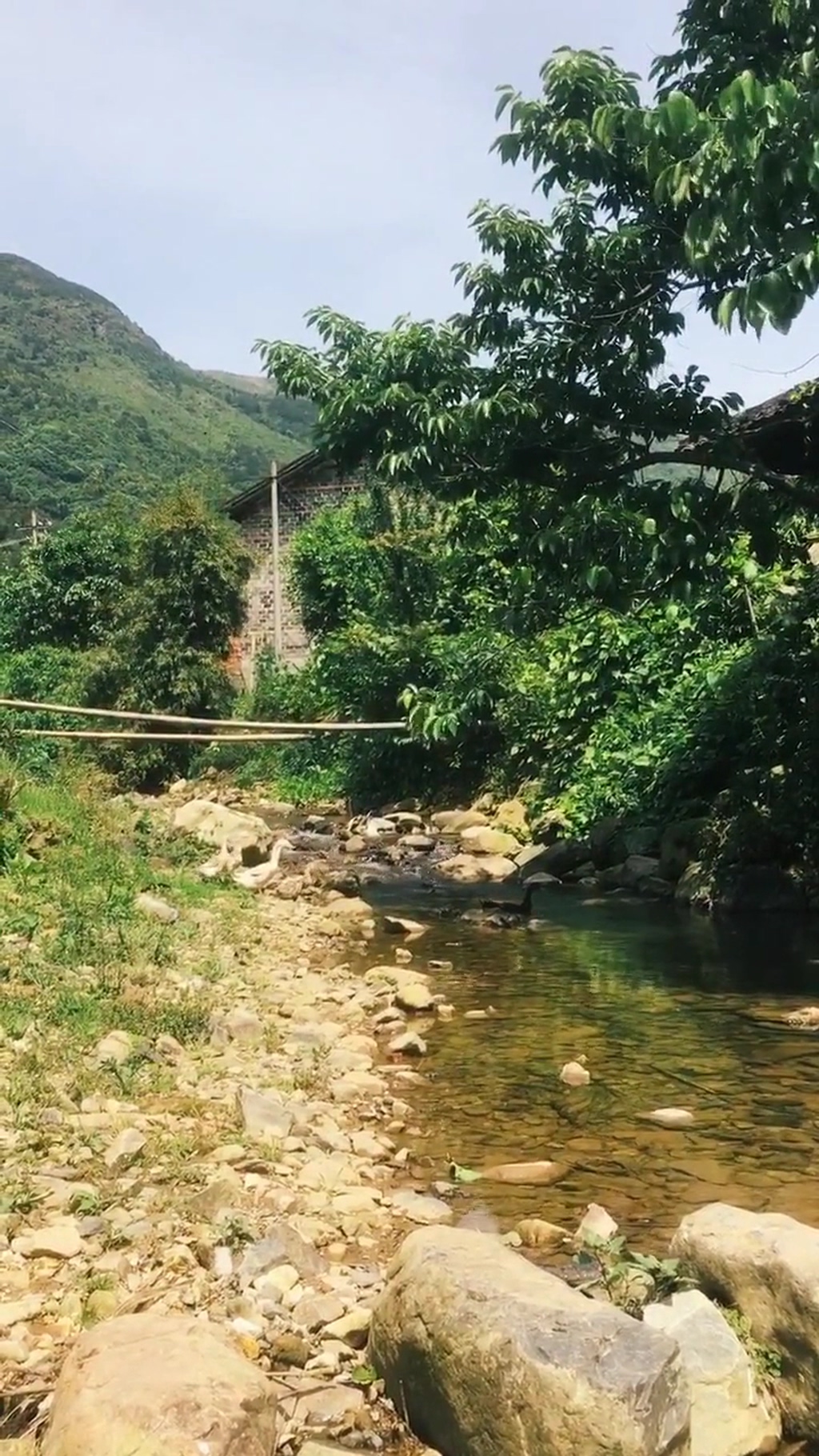 乡村小道唯美自然风光实拍素材