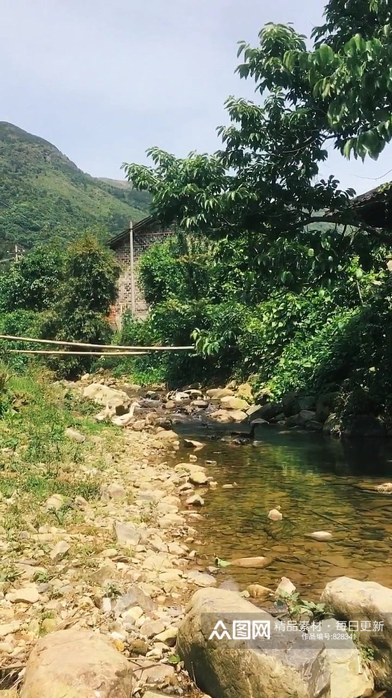 乡村小道唯美自然风光实拍素材