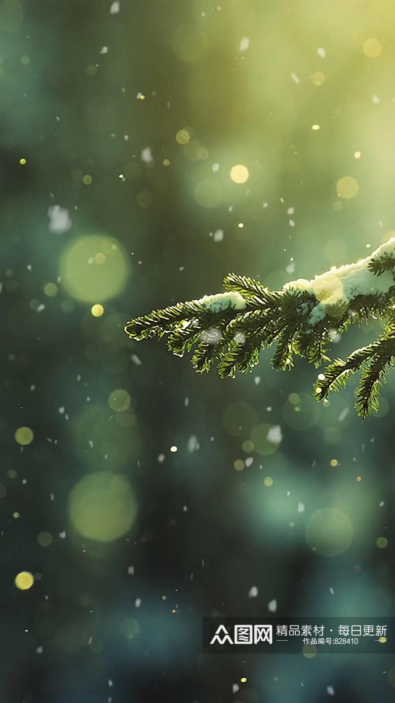 冬季雪景唯美自然风光实拍 风景视频素材