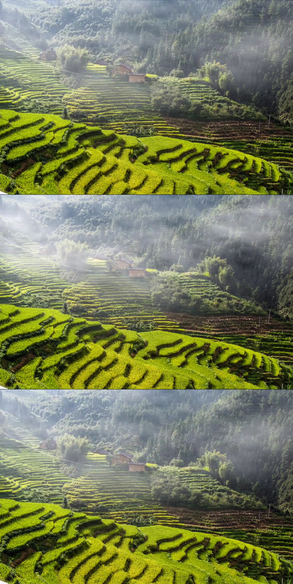 鄉(xiāng)村梯田唯美自然風(fēng)光實(shí)拍 風(fēng)景視頻素材