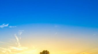 花海阳光乡村唯美自然风光实拍 风景视频-众图网