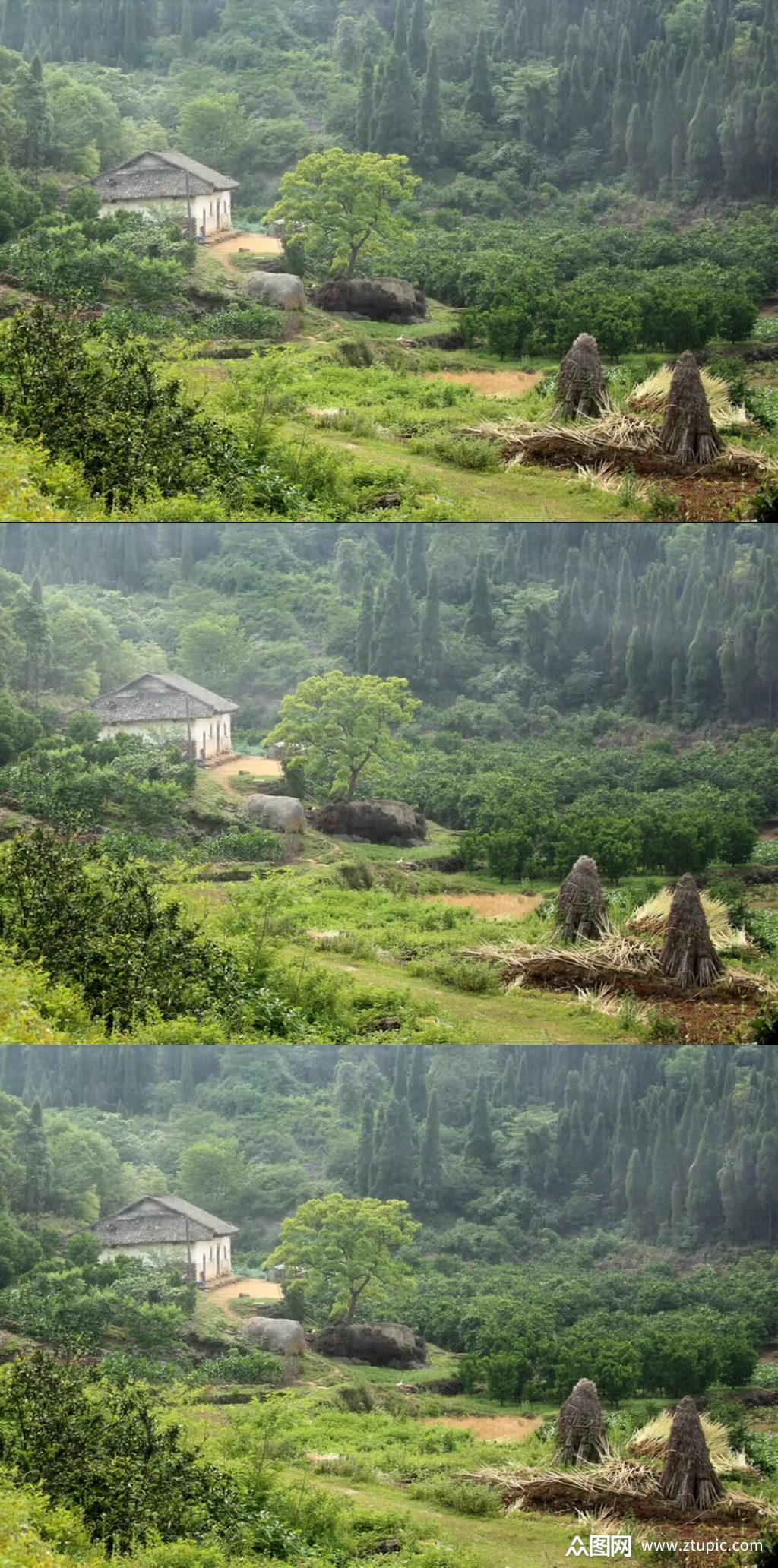 本作品是由浪子燕青上传的原创视频素材,适用于实拍视频设计