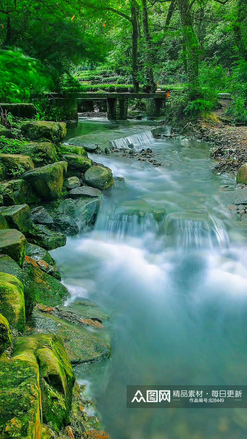 溪水河流森林唯美自然风光实拍素材