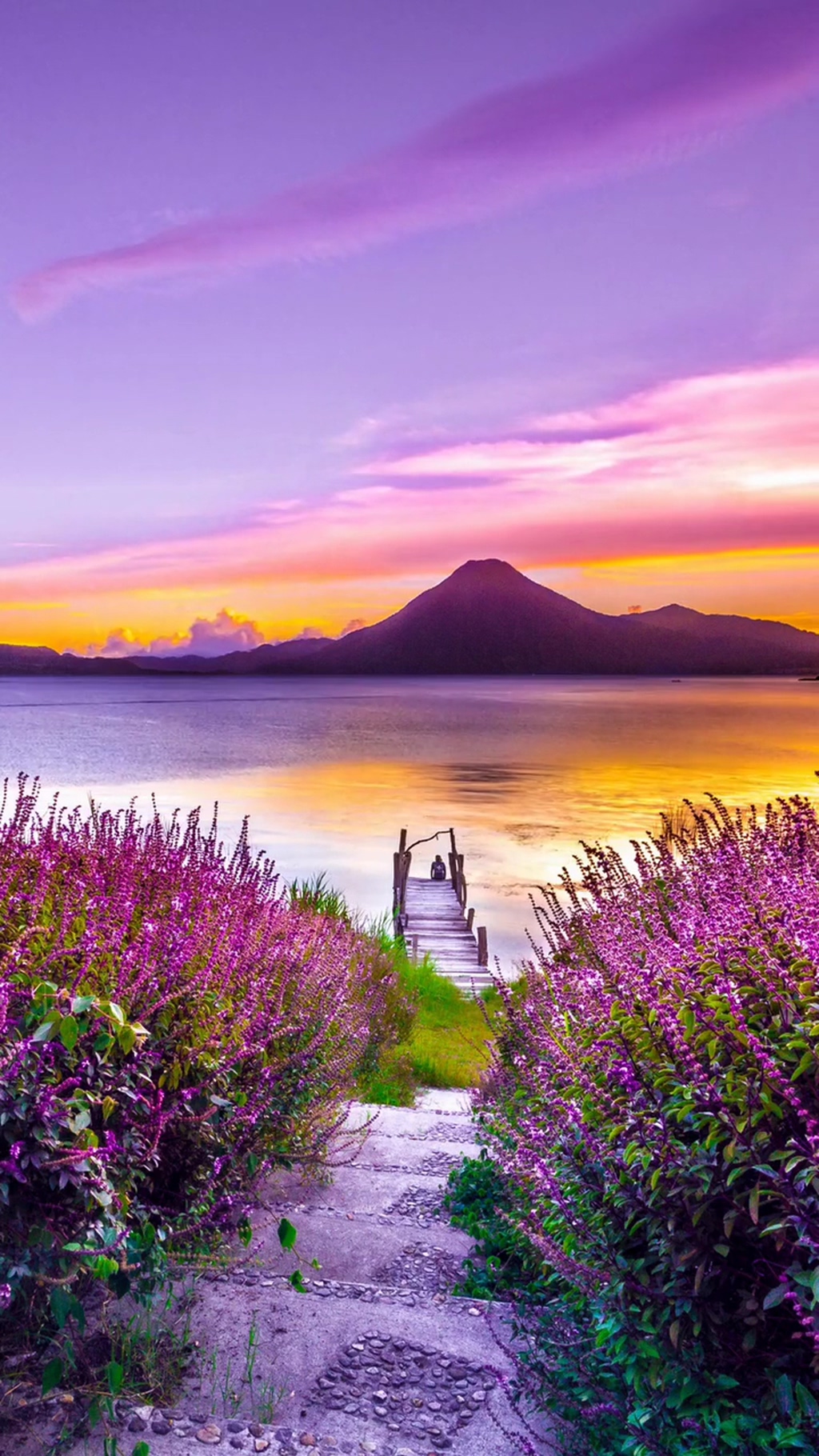 紫色薰衣草唯美自然风光实拍