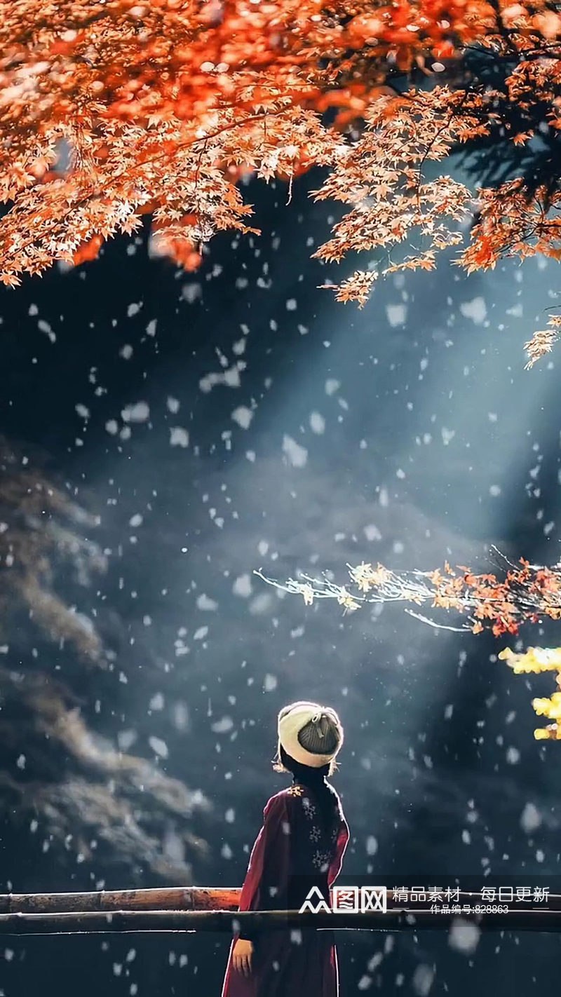 秋季枫叶唯美自然风光实拍素材