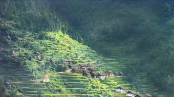 乡村唯美自然风光实拍 风景视频-众图网