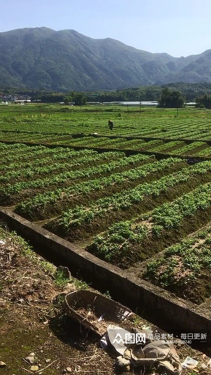 乡村唯美自然风光实拍素材