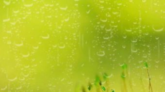 雨季乡村唯美自然风光实拍-众图网