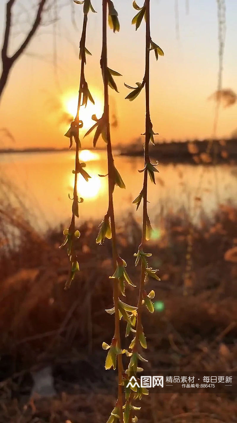 夕阳湖泊唯美大自然风光自媒体实拍素材