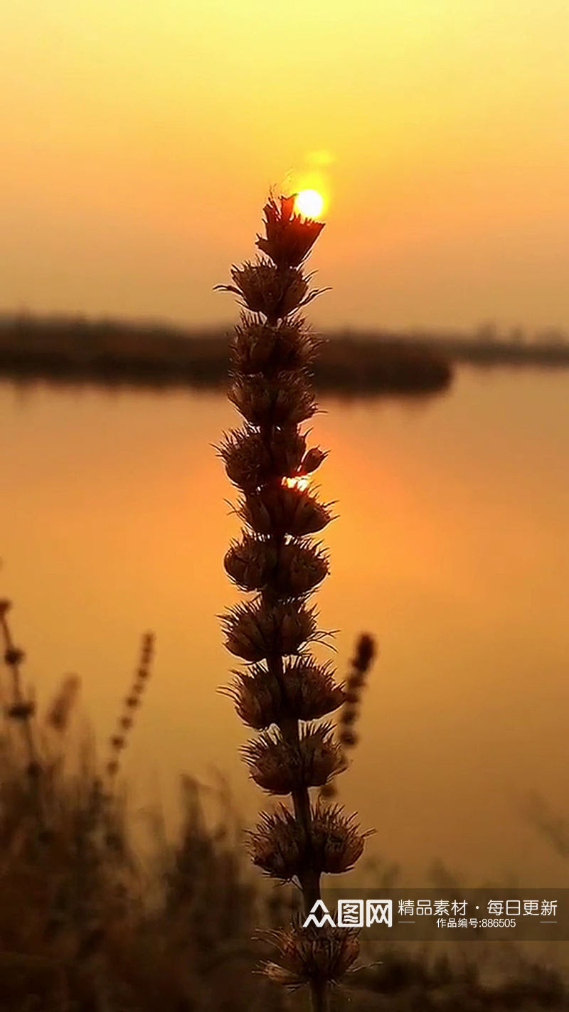 湖泊夕阳唯美大自然风光自媒体实拍素材
