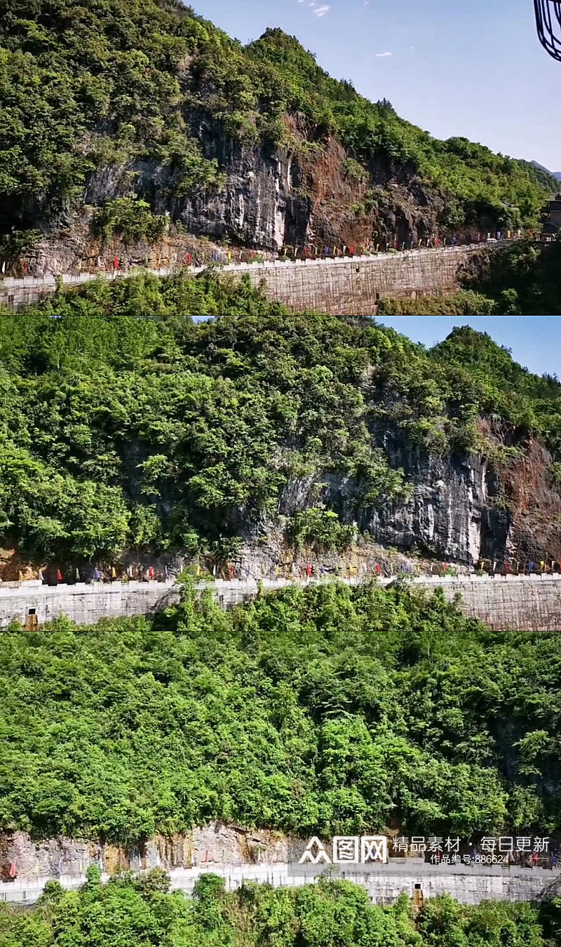 绿色生态植物唯美大自然风光自媒体实拍素材